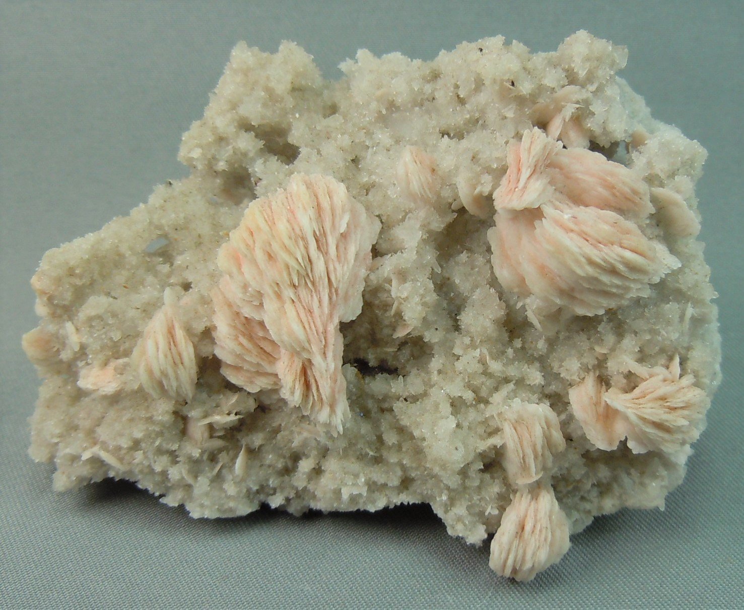 Barite on Quartz
6.5cm x 4.8cm
(Autor: rweaver)
