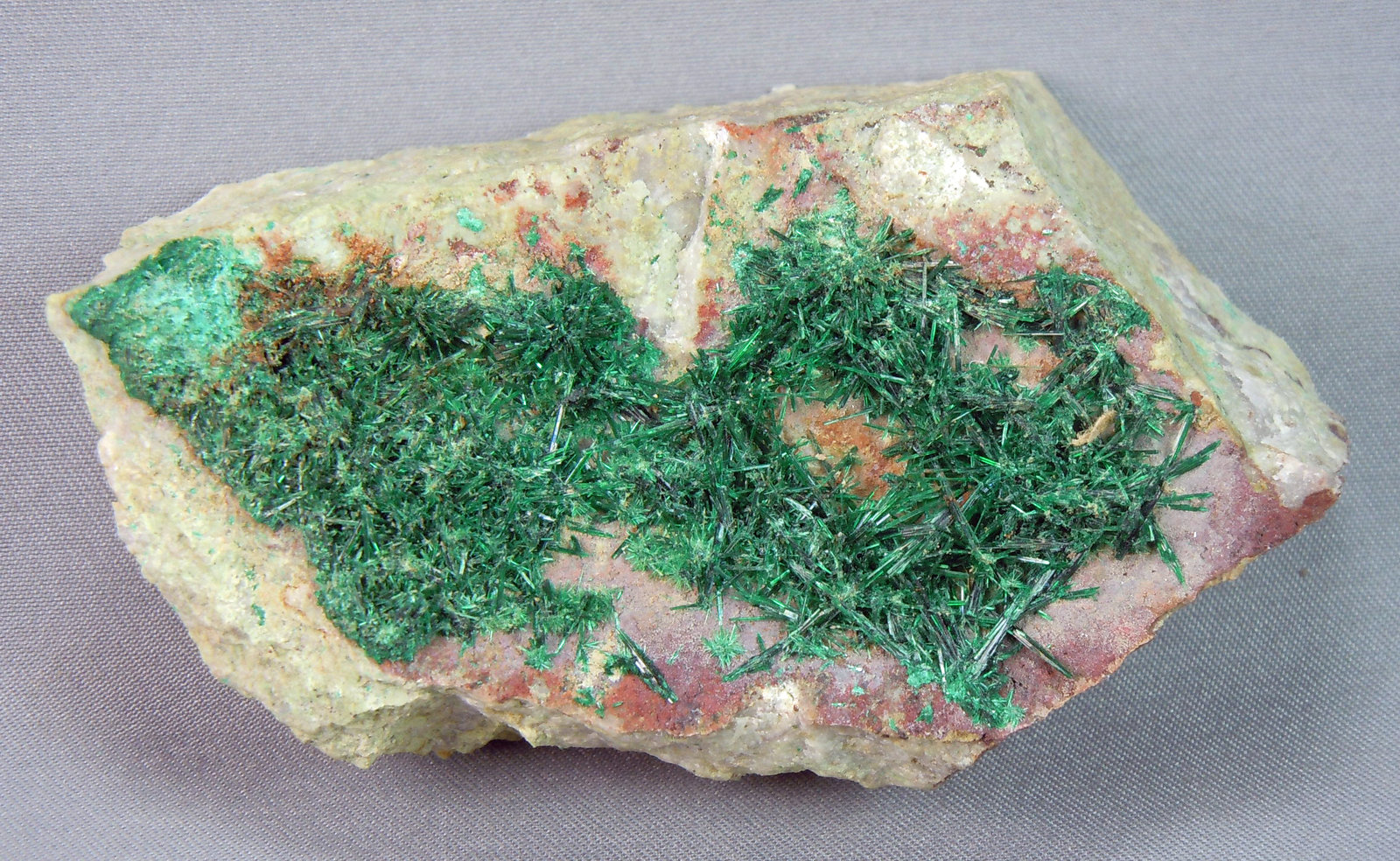 Brochantite
7.2cm x 4.5cm
(Autor: rweaver)