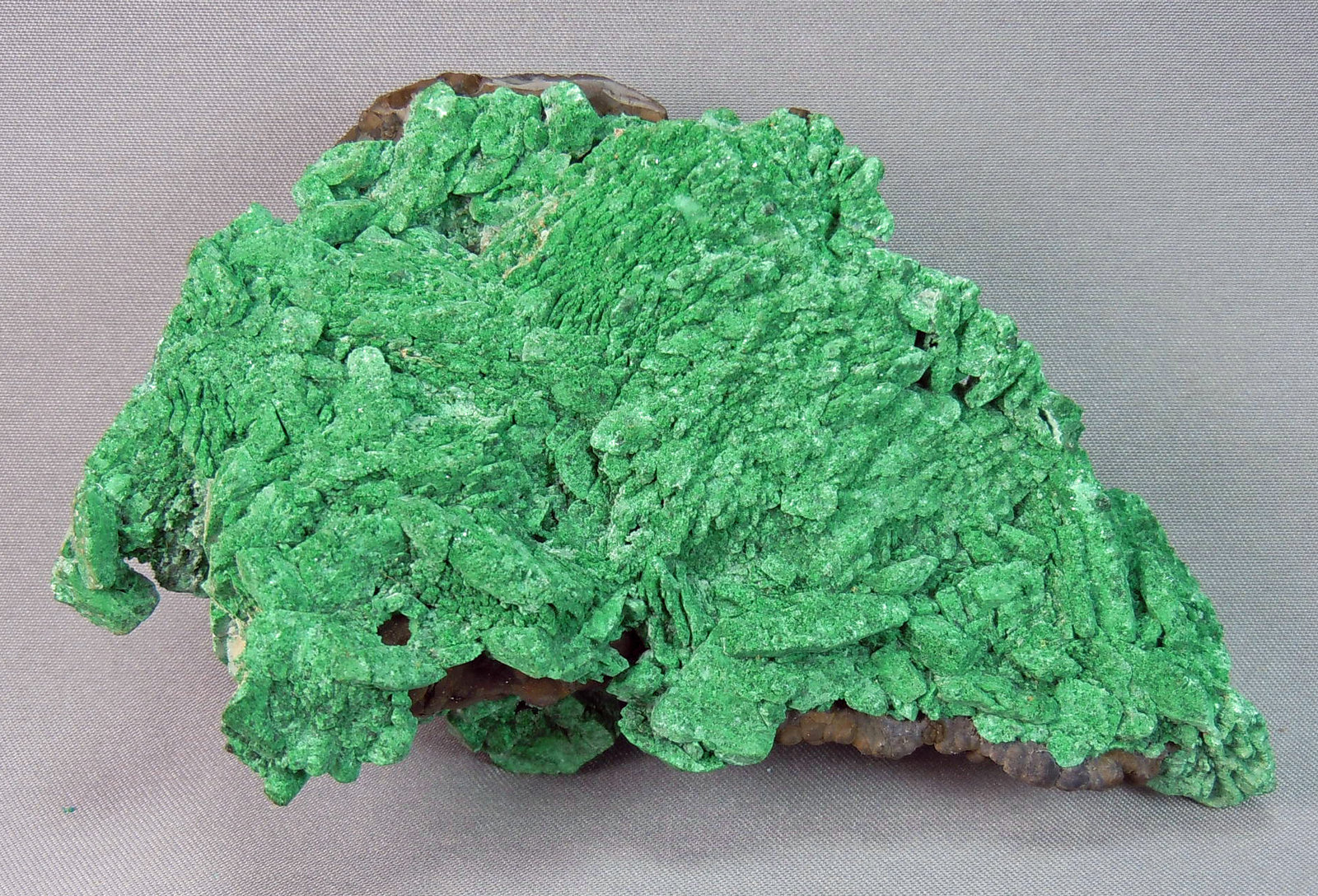 Malachite after Azurite
9.5cm x 6.0cm
(Autor: rweaver)
