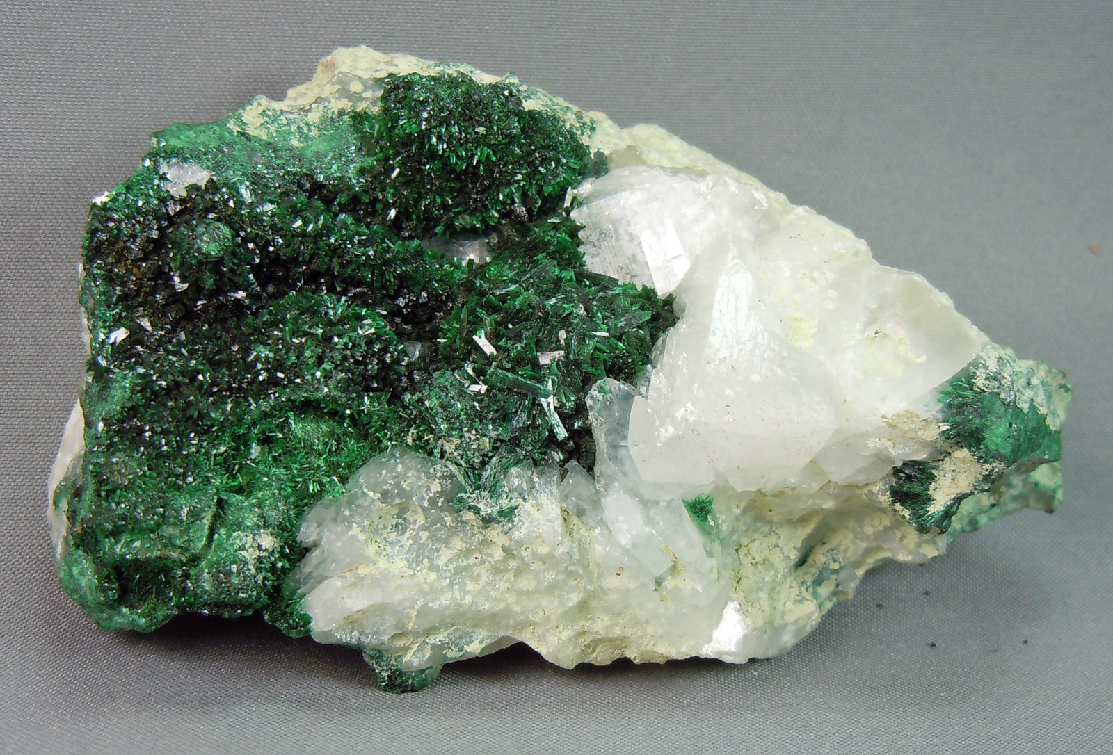 Malachite and Calcite
7.0cm x 5.0cm
(Autor: rweaver)