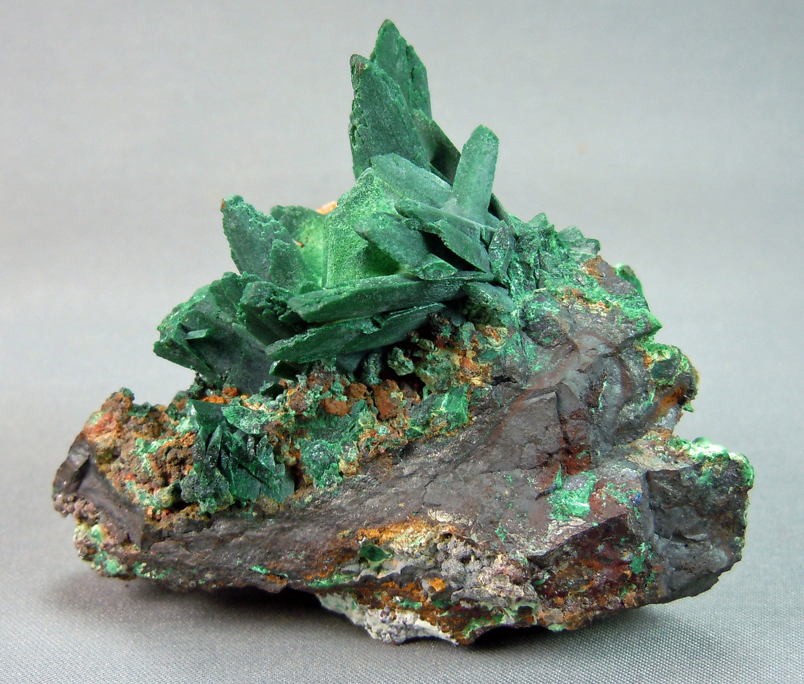 Malachite after Azurite
6.0cm x 5.5cm
(Autor: rweaver)