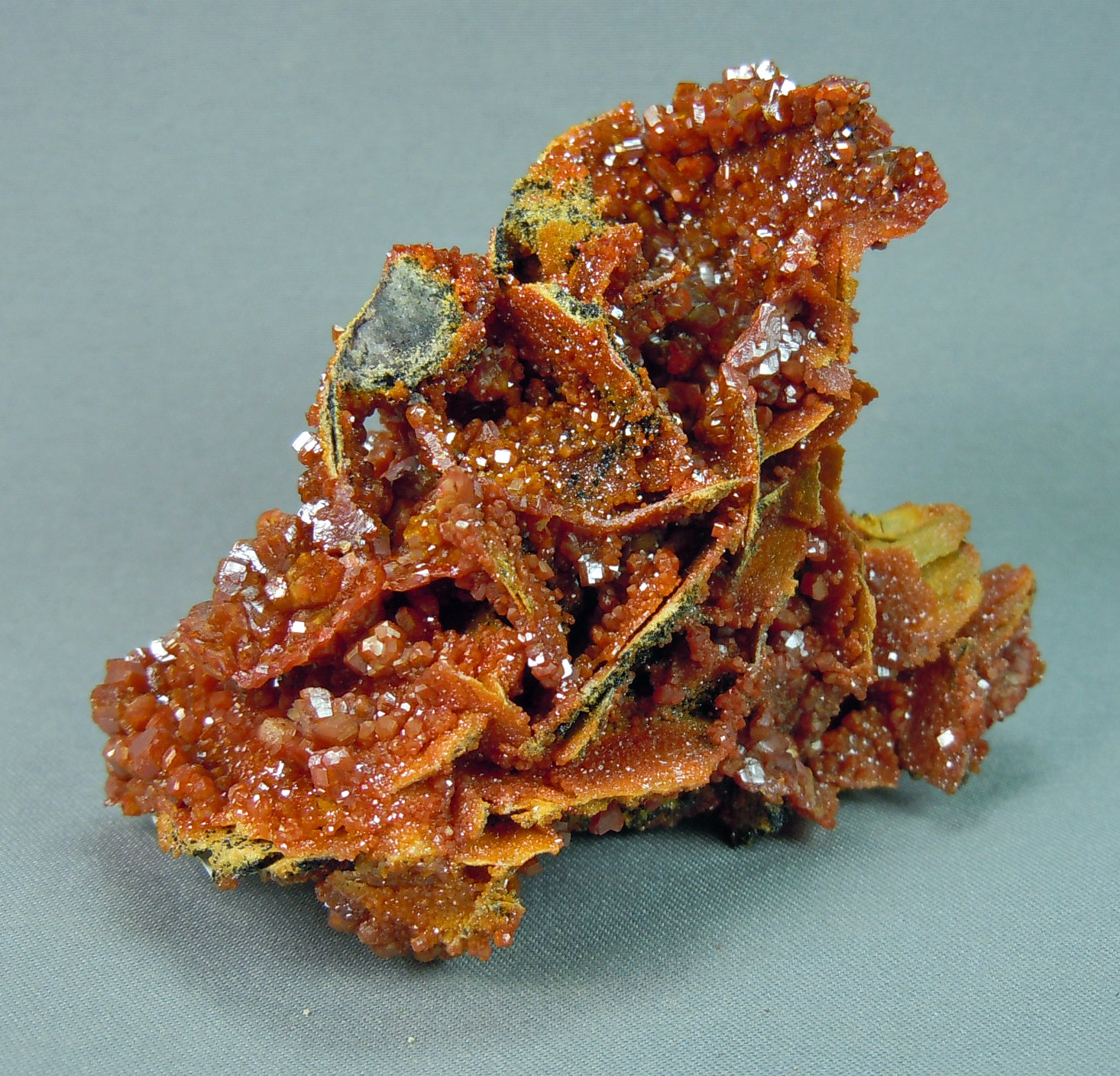 Vanadinite after Wulfenite
6.5cm  5.4cm
(Autor: rweaver)