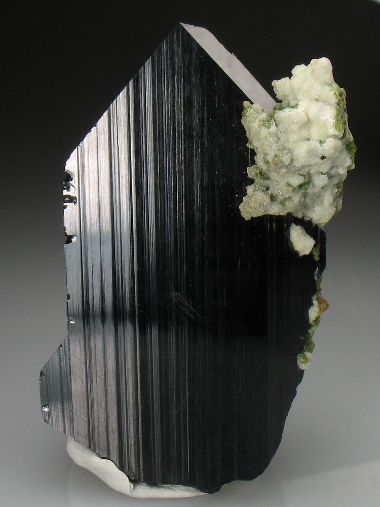 Azurite
61mm x 40mm X 15mm.
(Autor: Vasco Trancoso)