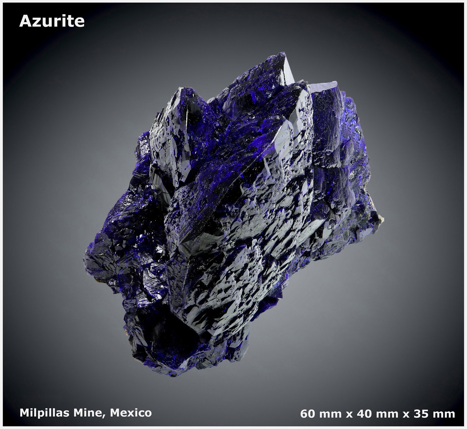 Azurite
60 mm x 40 mm x 35 mm
(Autor: silvia)