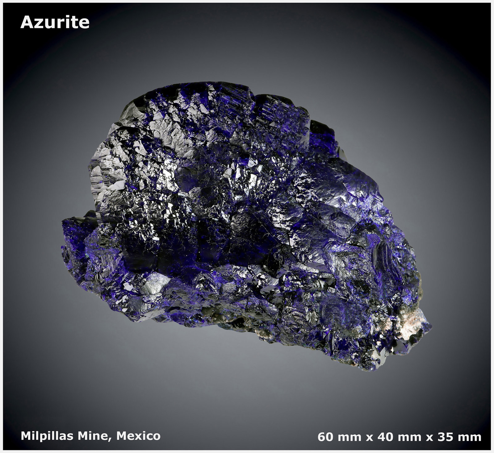 Azurite
60 mm x 40 mm x 35 mm
(Autor: silvia)