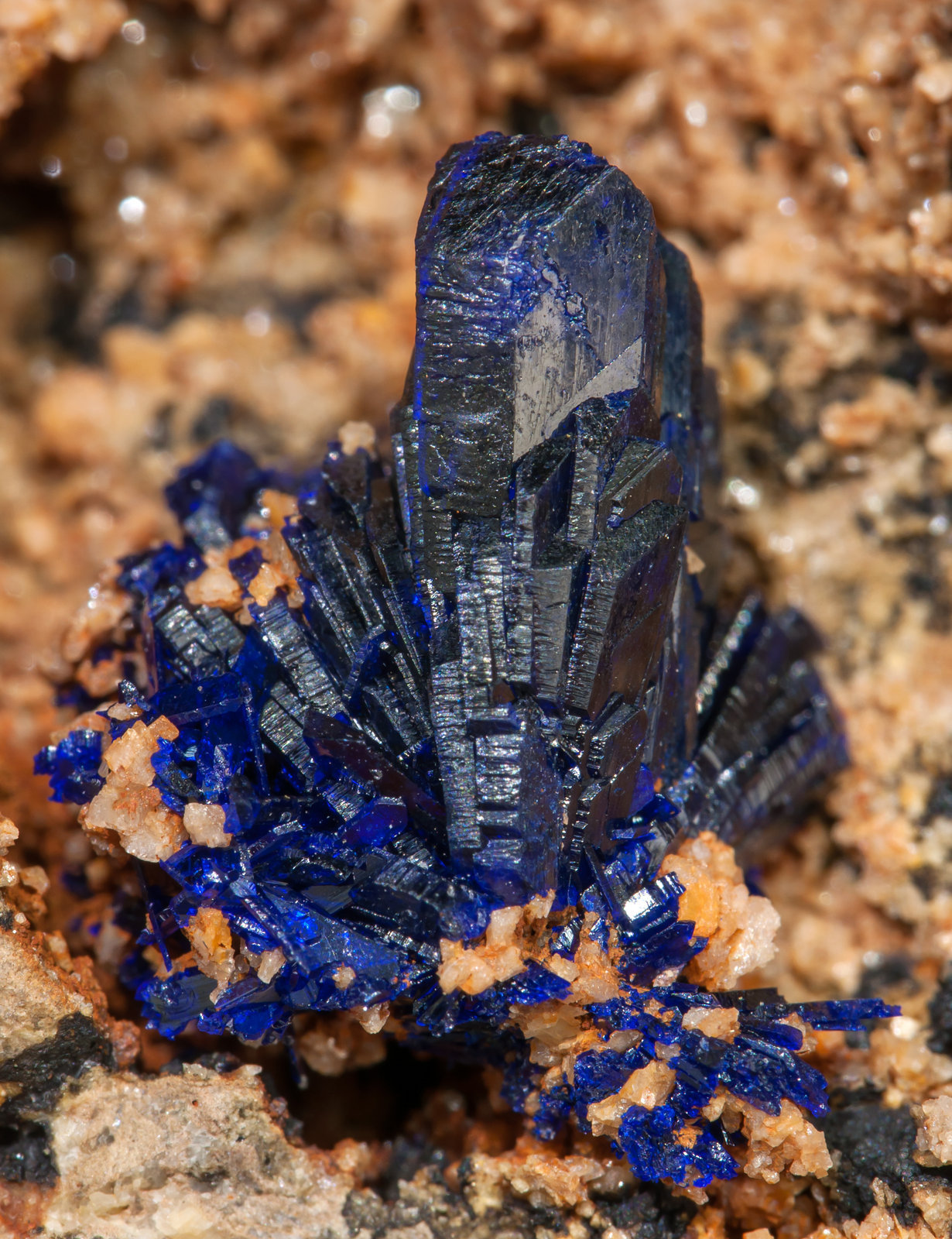 Azurite on Dolomite
Main crystal size: 1.2 × 0.4 cm
(Autor: Jordi Fabre)
