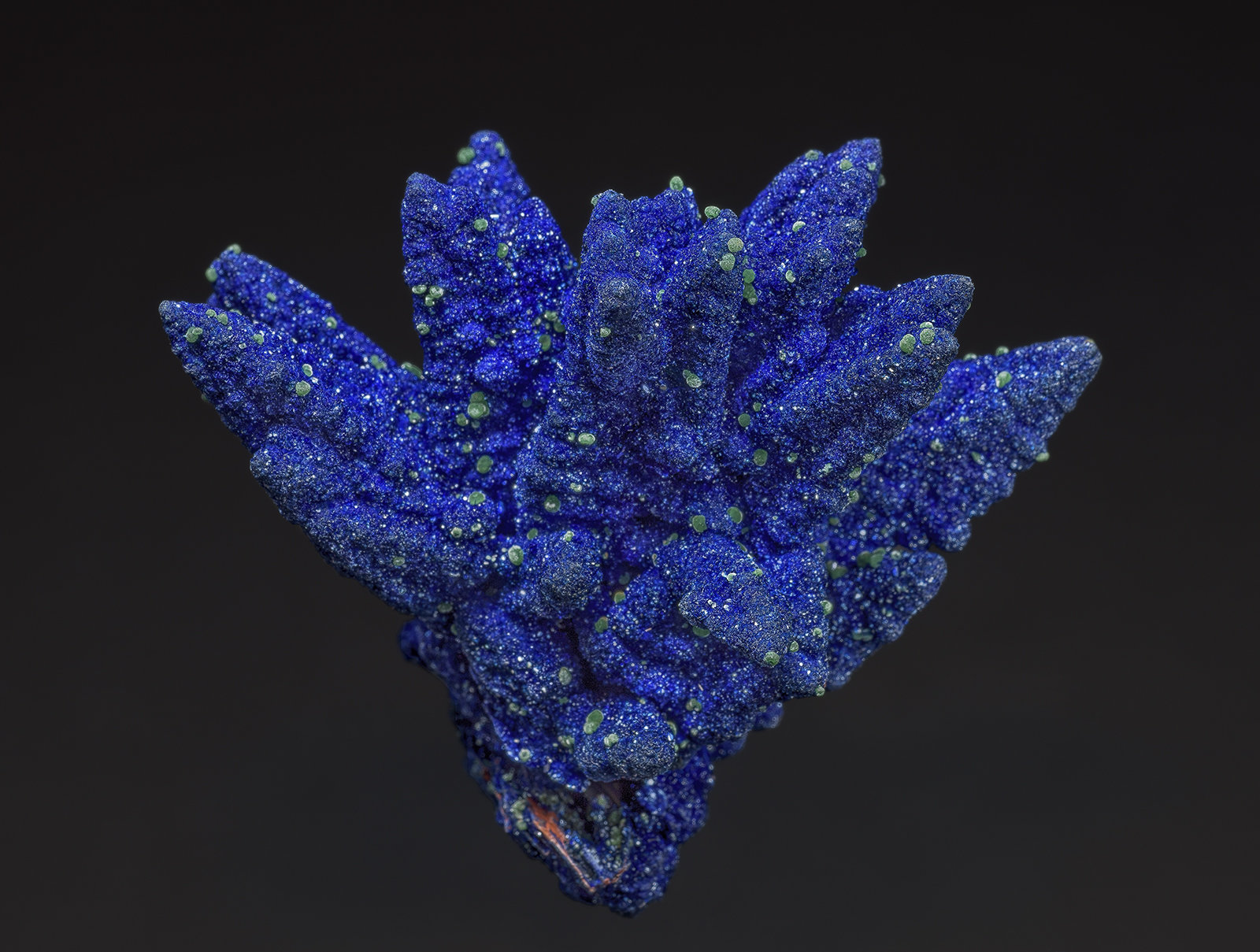 Azurite, Adamite (var. cuprian adamite)
4.5 x 4.1 cm
(Autor: am mizunaka)