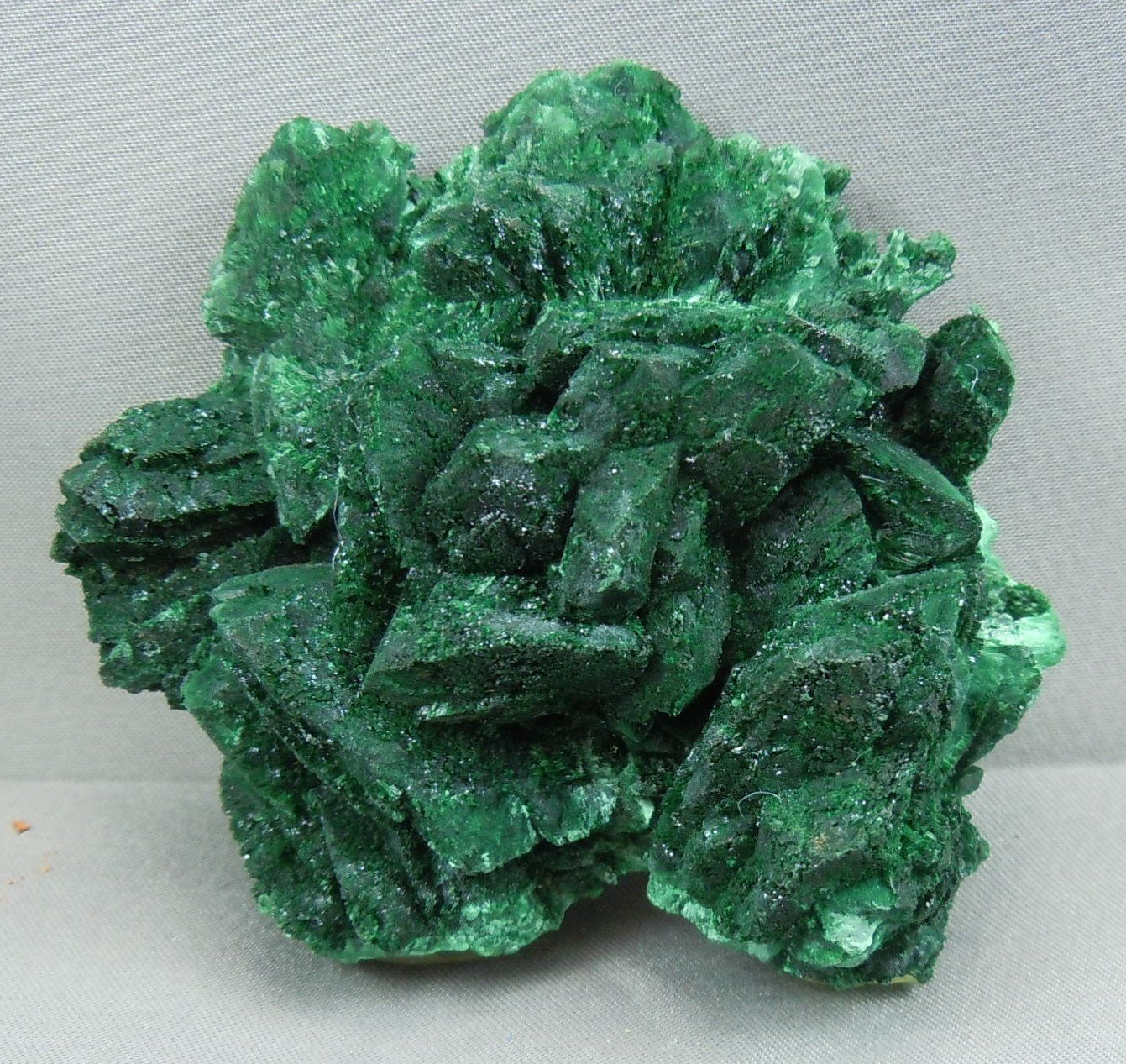 Malachite after Azurite
6.5cm x 6.0cm
(Autor: rweaver)