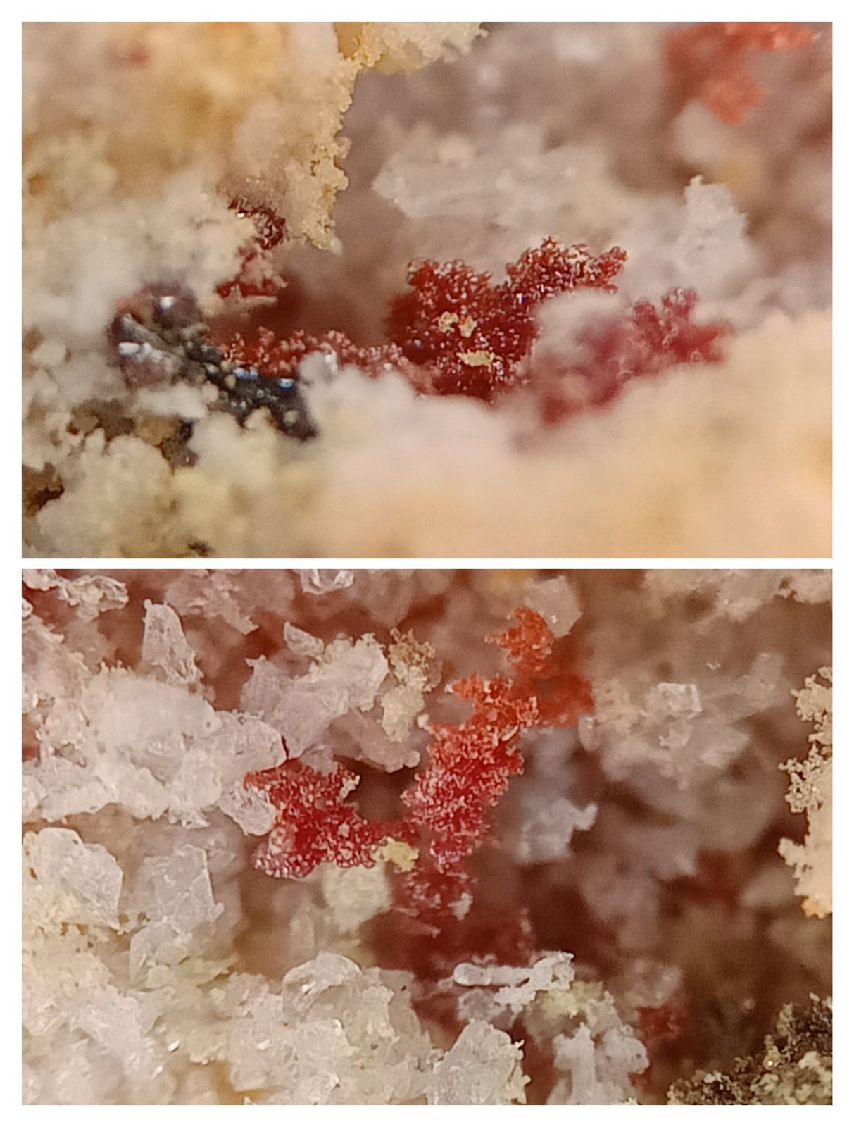 Kremersite
3x1 mm
(Autor: mineralenzo)