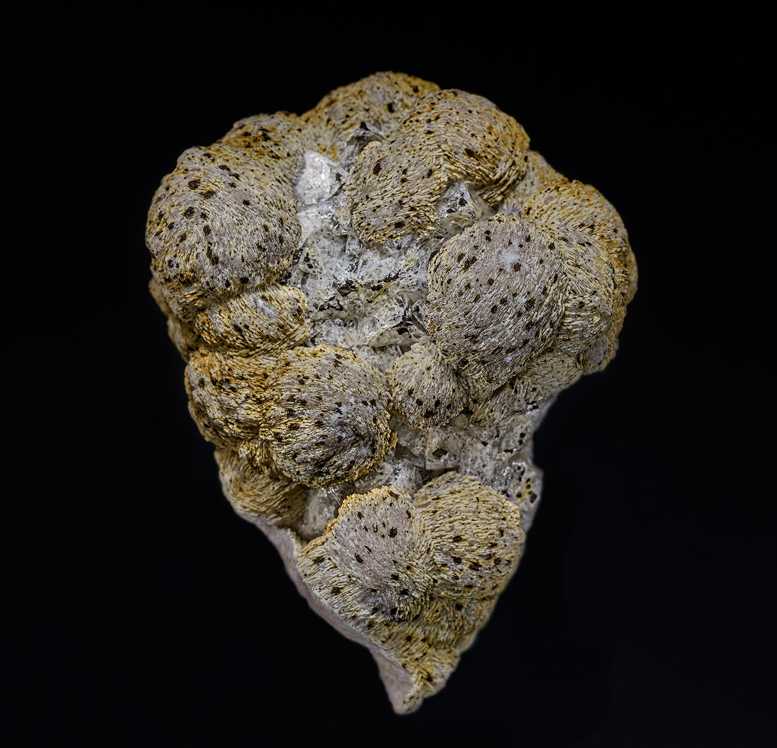 Baryte, Fluorite, Marcasite
6.3 x 4.8 cm
(Autor: am mizunaka)
