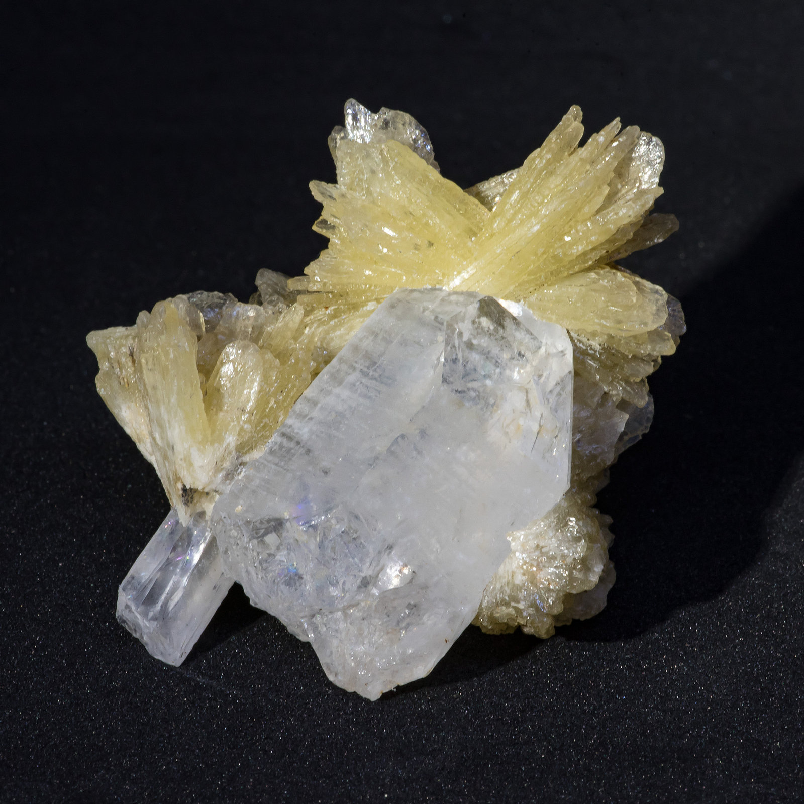 Baryte, Quartz
54mm x 44mm x 26mm (Barite blades up to 19mm long)
(Autor: Bergur_E_Sigurdarson)