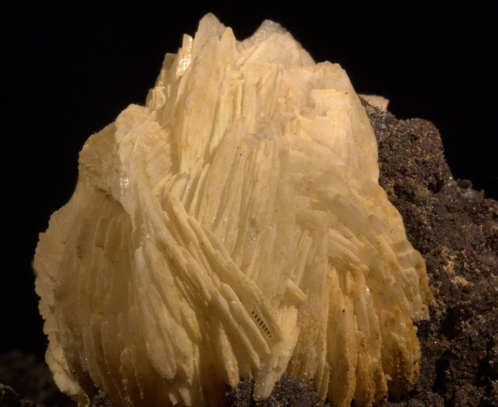 Barite and Goethite
FOV 16 mm
(Autor: Adrian Pripoae)