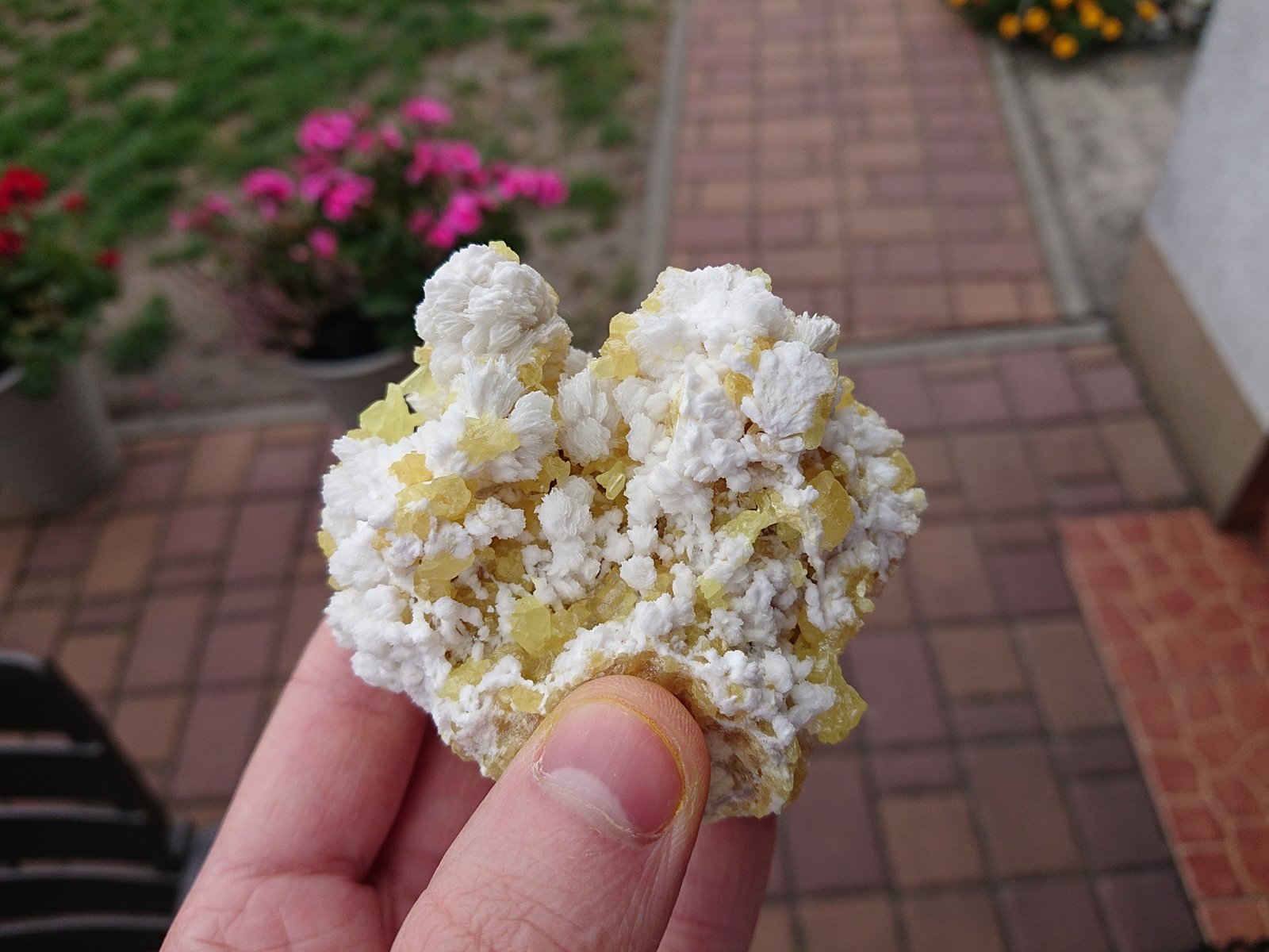 Baryte with Sulphur
7.5 x 6.5 cm
(Autor: sauer11)