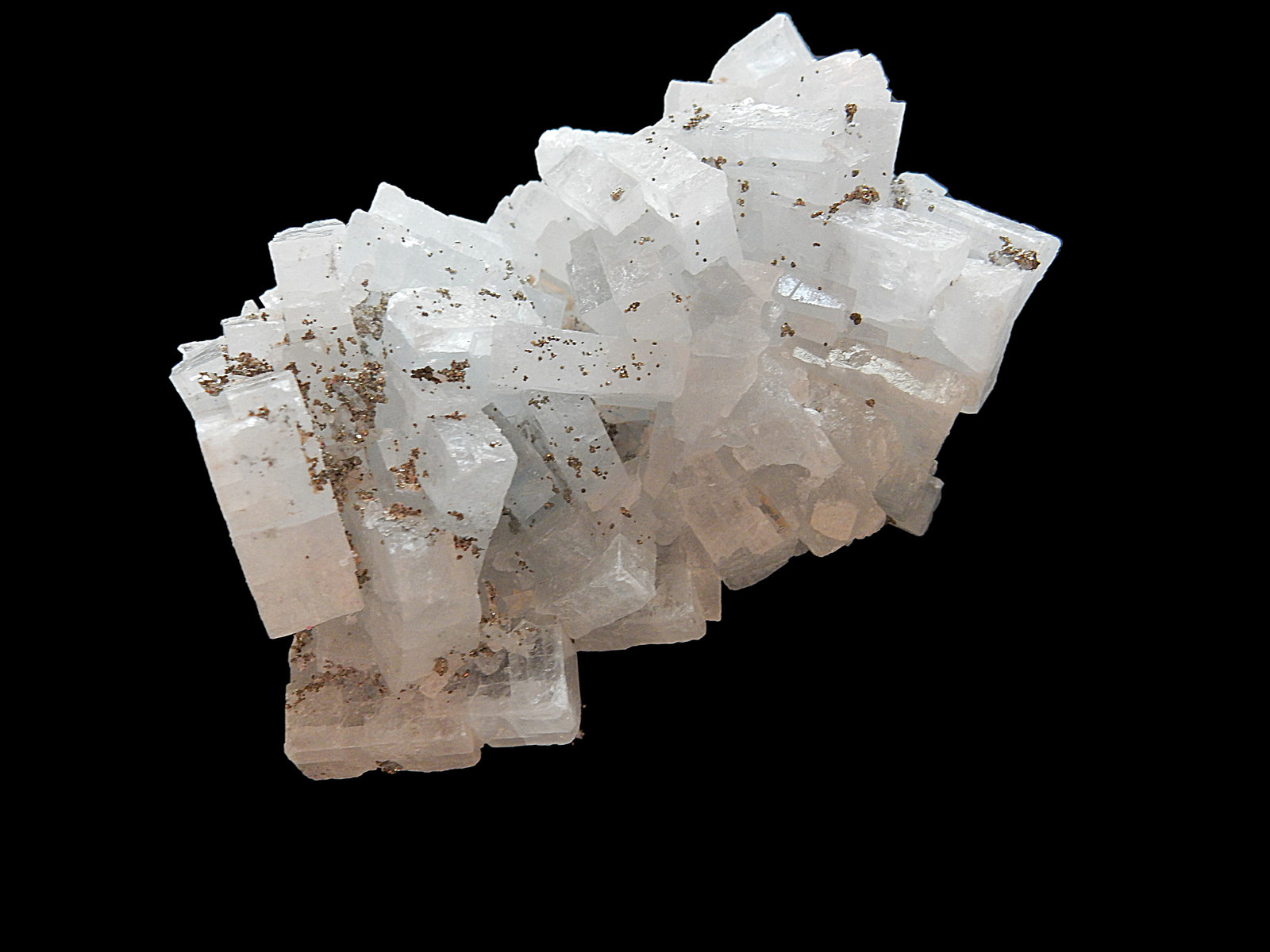 Baryte and Pyrite
70 mm x 50 mm x 40 mm
(Autor: Dany Mabillard)