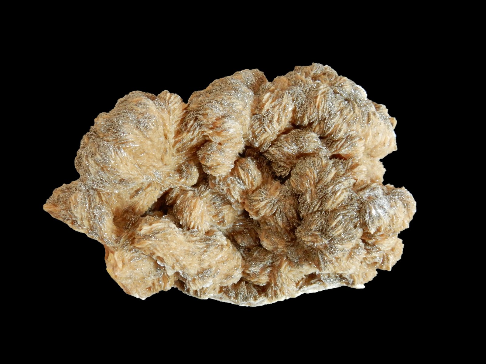 Baryte and Pyrite
120x100x40 mm
(Autor: Dany Mabillard)