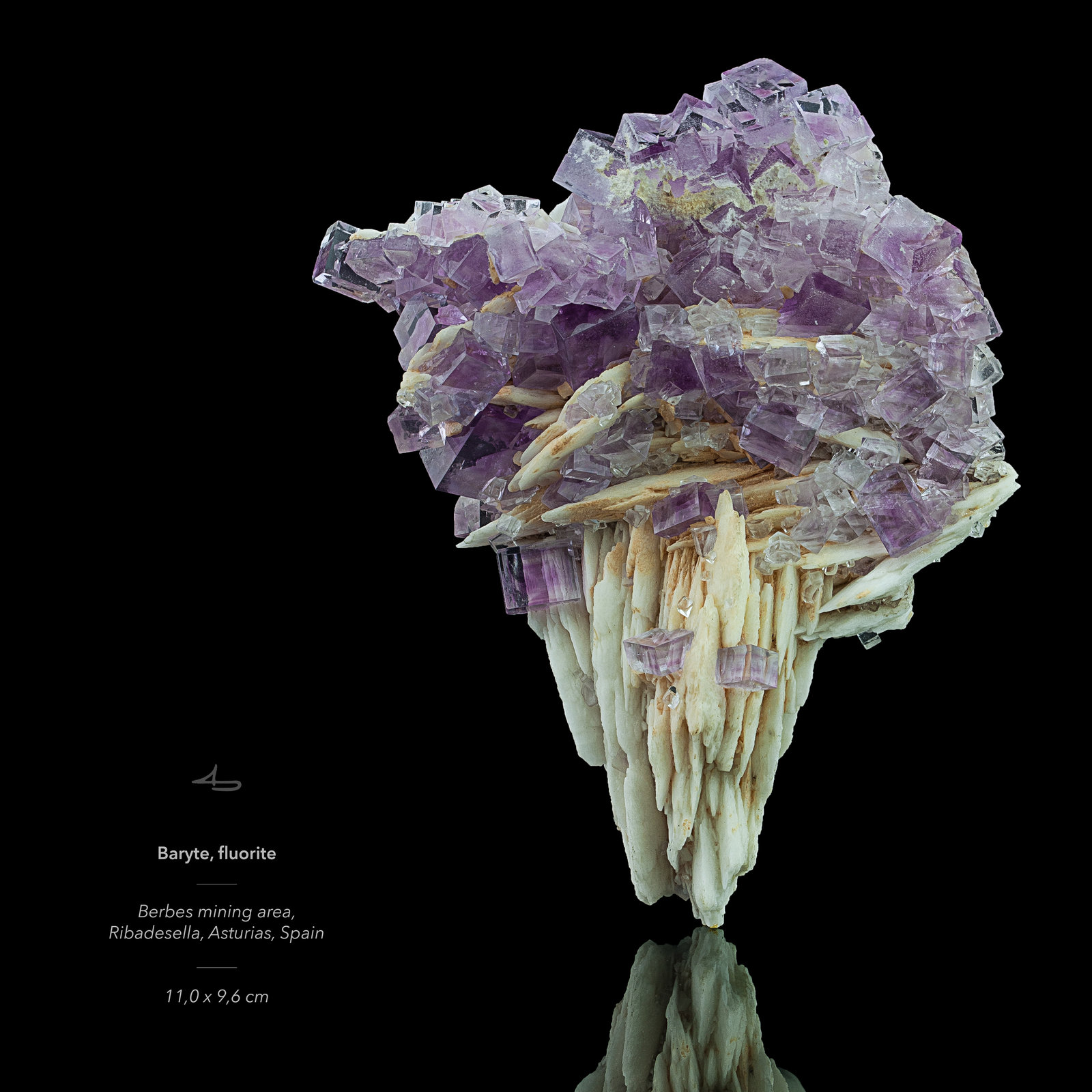 Baryte, Fluorite
11,0 x 9,6 cm
(Autor: Niels Brouwer)