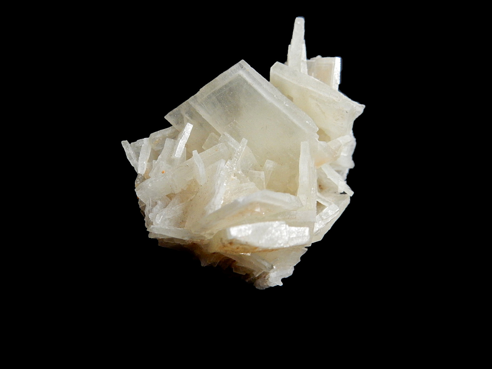 Baryte
40 mm x 30 mm x 20mm
(Autor: Dany Mabillard)