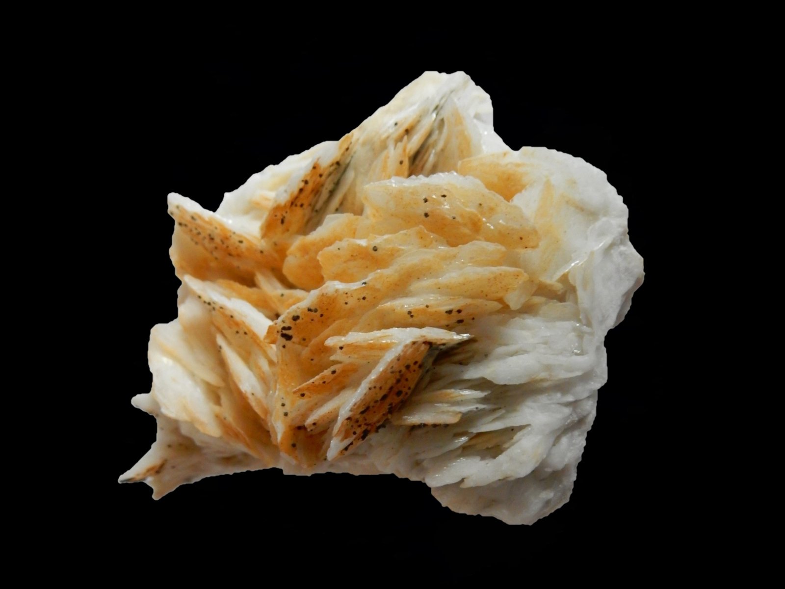 Baryte
80x60x40 mm
(Autor: Dany Mabillard)