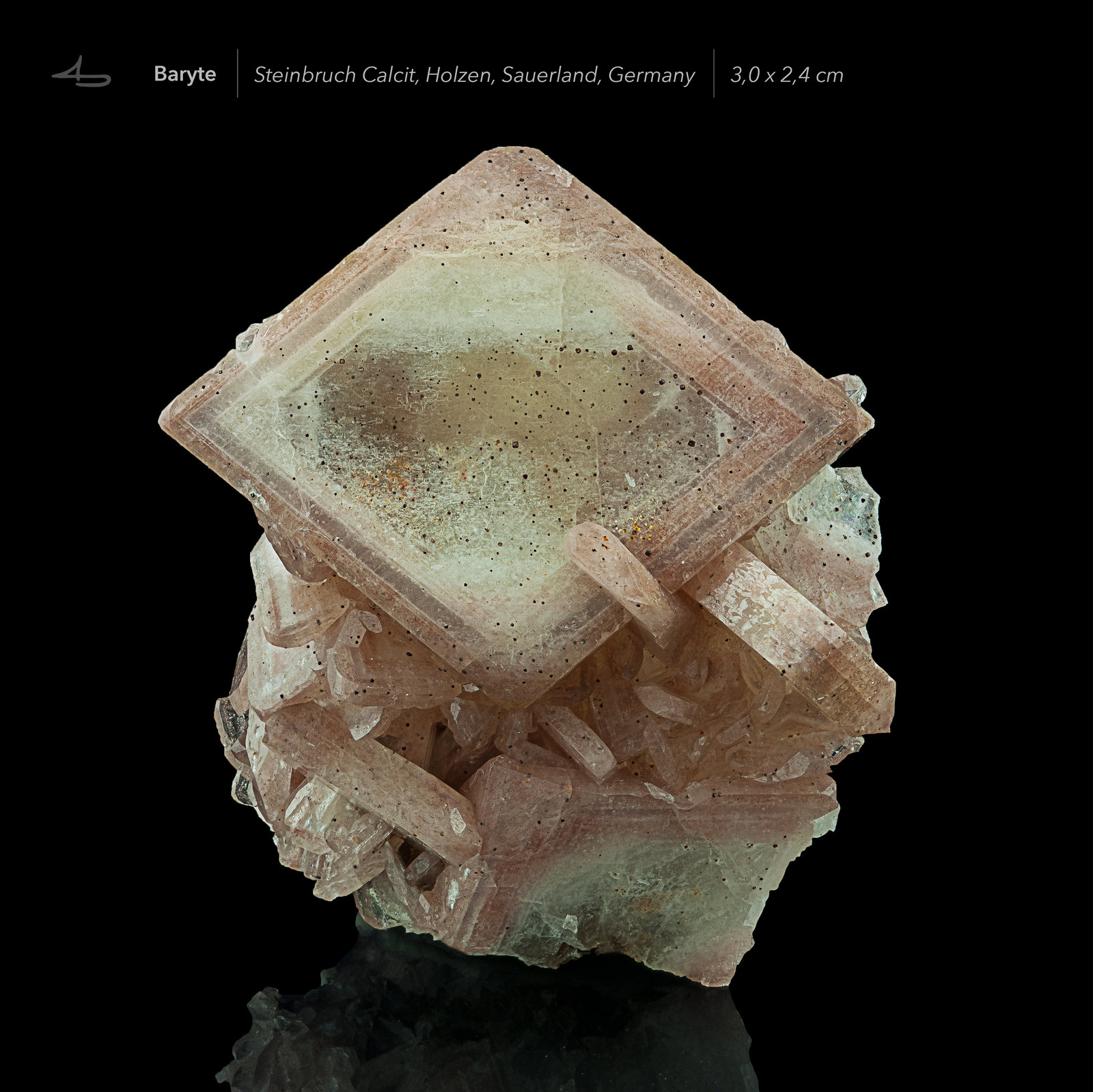 Baryte, Hematite
3,0 x 2,4
(Autor: Niels Brouwer)