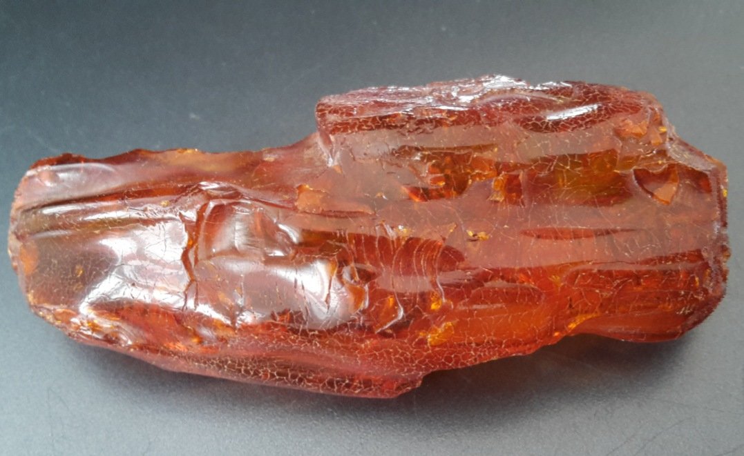 Amber
8,5 x 3,5 cm
(Autor: Andreas Gerstenberg)