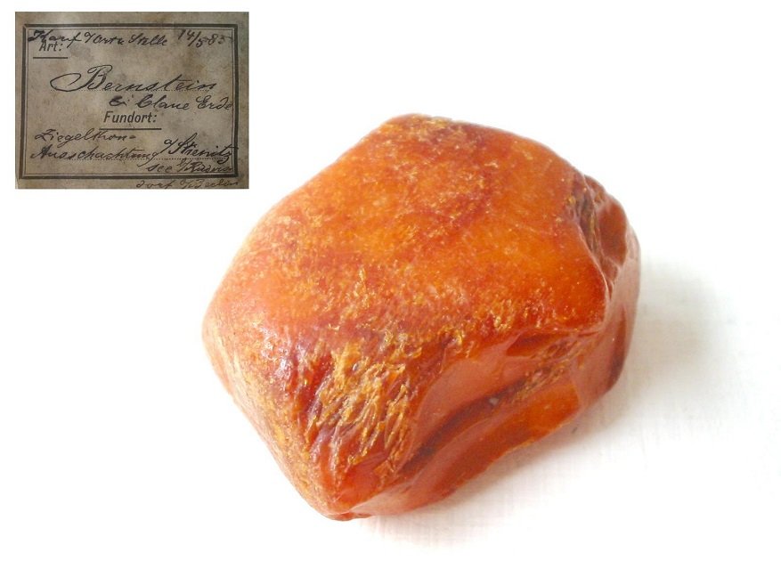 Amber
4,5 x 4 cm
(Autor: Andreas Gerstenberg)
