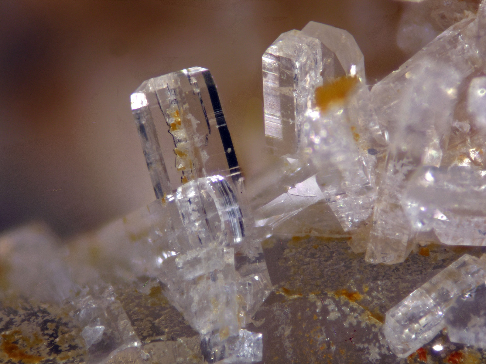 Bertrandite
Xtal 2 mm
(Autor: Cesar M. Salvan)