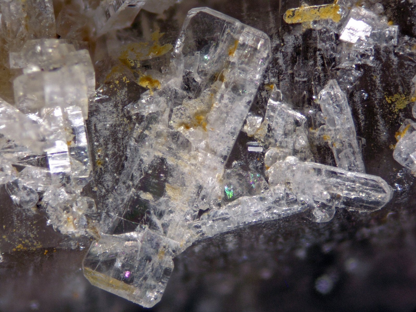 Bertrandite
FOV 5 mm
(Autor: Cesar M. Salvan)