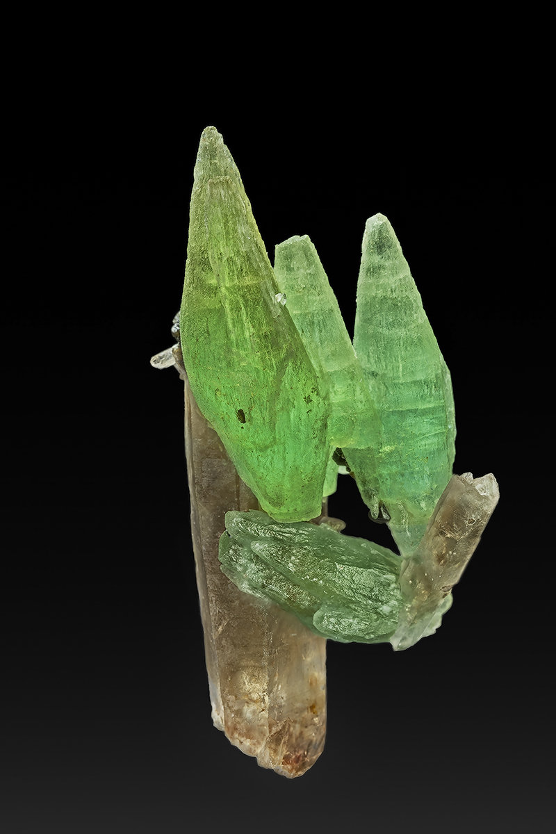 Beryl (variety aquamarine), Quartz (variety smoky quartz)
8.4 x 3.2 cm
(Autor: am mizunaka)
