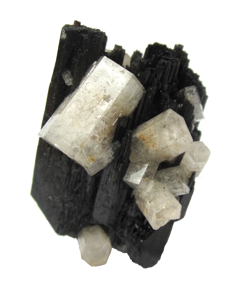 Beryl (variety goshenite) on schorl
Largest beryl 13 mm, specimen height 4 cm
(Autor: Tobi)