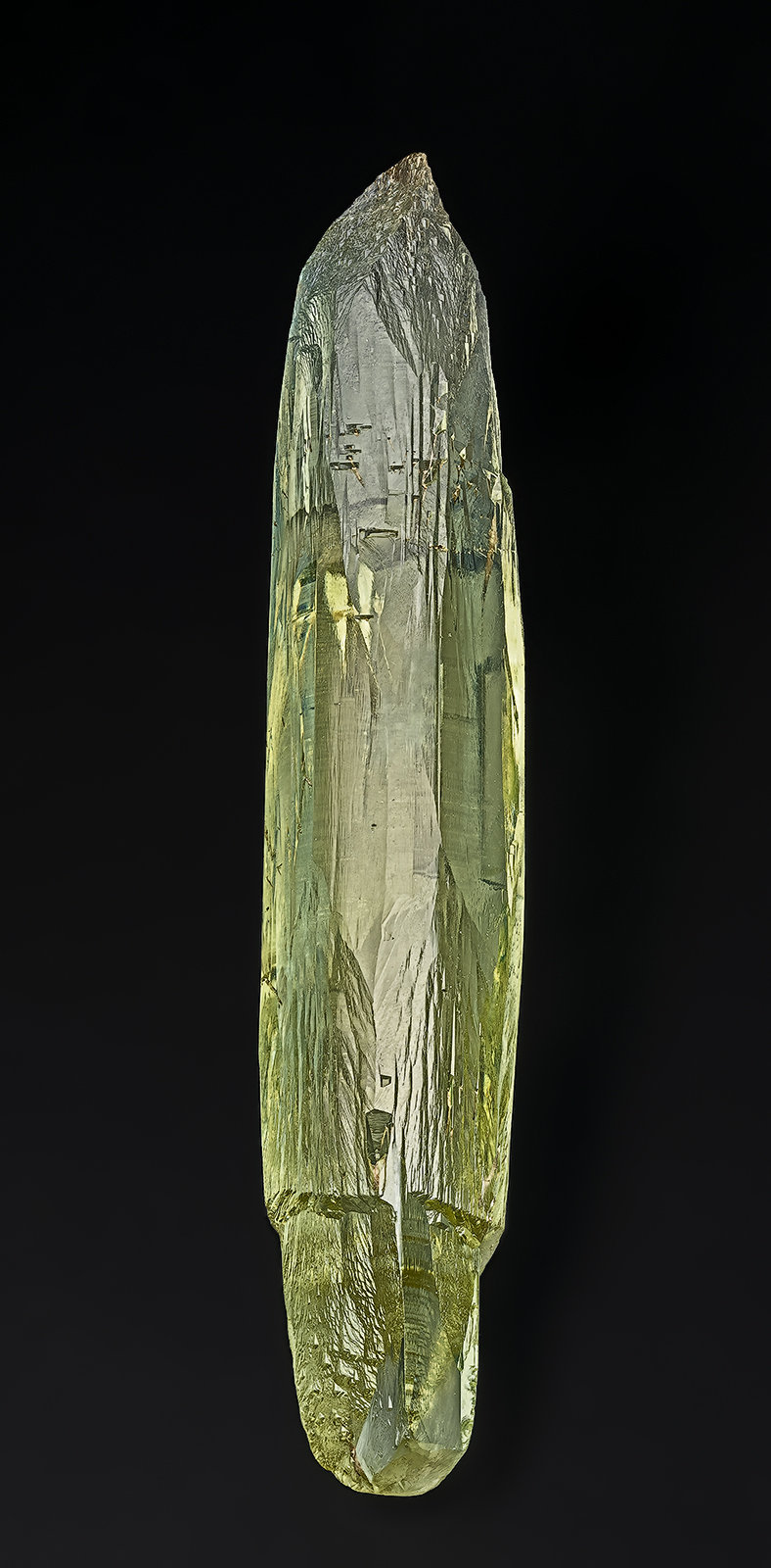 Beryl (variety heliodor)
10.7 x 2.0 cm
(Autor: am mizunaka)