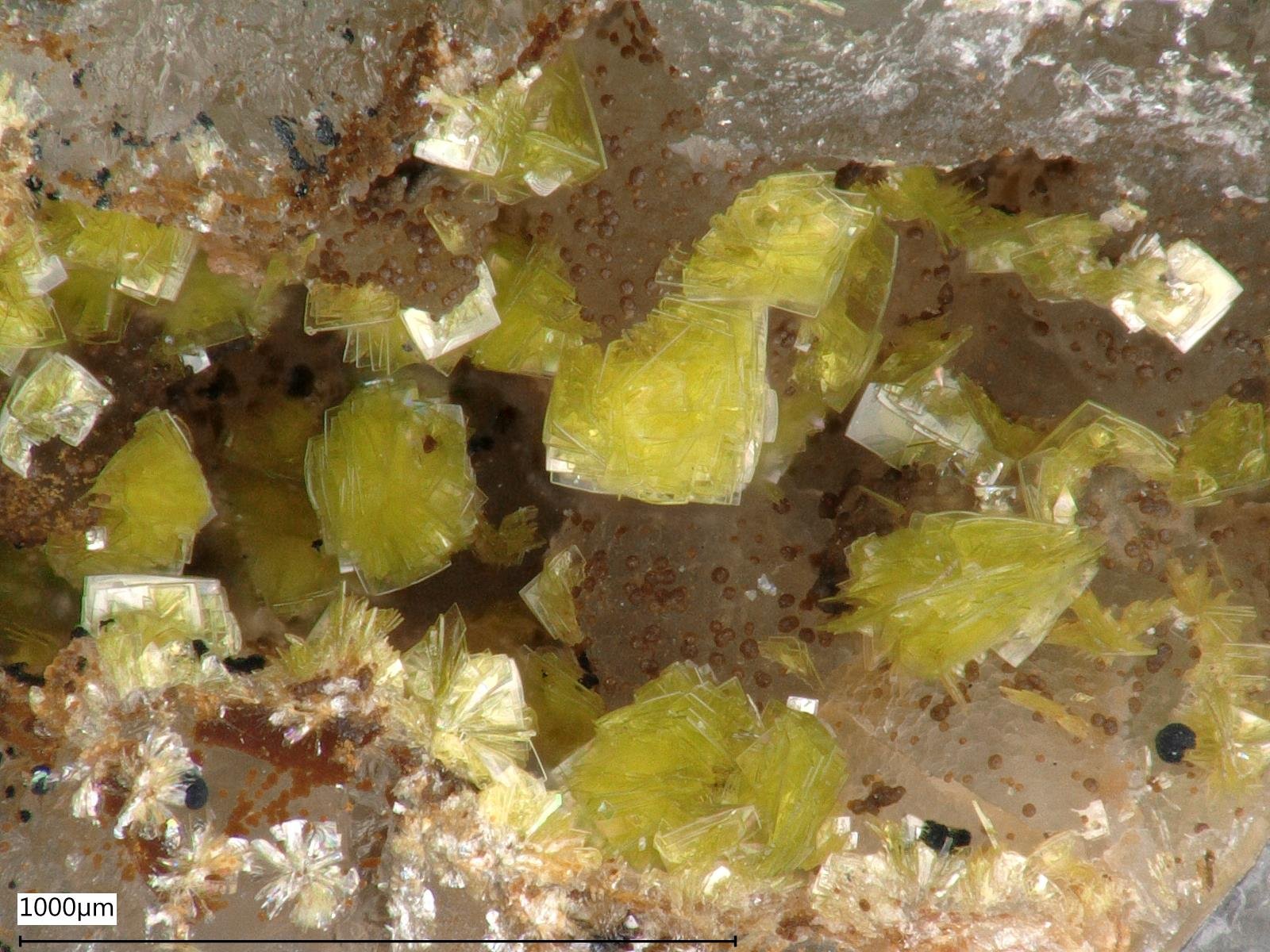 Beyerite
Picture width: 1,7 mm.
(Autor: Andreas Gerstenberg)