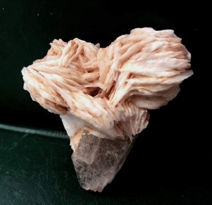 Baryte on Fluorite
Cm 3x4.5x1 cm
(Autor: mineralenzo)