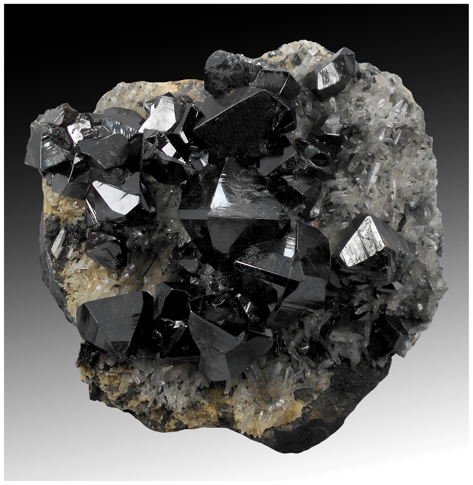 Cassiterite, Quartz
14 cm x 13 cm x 7 cm
(Autor: silvia)