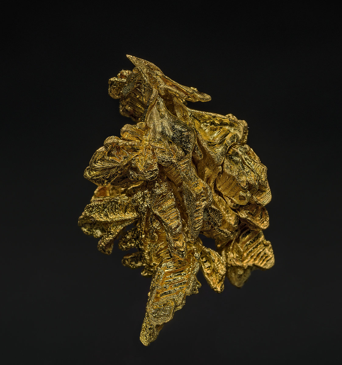 Gold
3.1 x 2.2 cm
(Autor: am mizunaka)