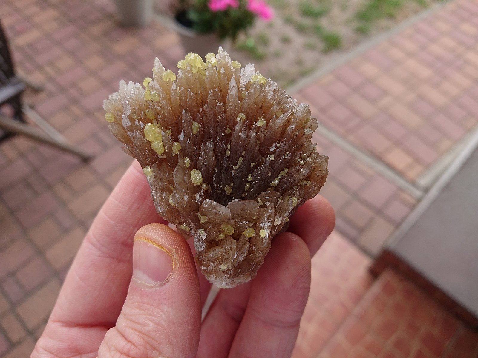 Baryte with Sulphur
7 x 5 cm
(Autor: sauer11)