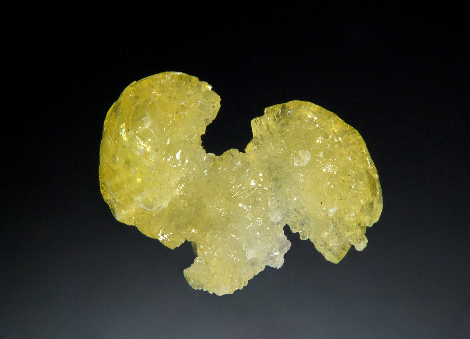 Brucite
1.8 x 2.6 cm
(Autor: Michael Shaw)