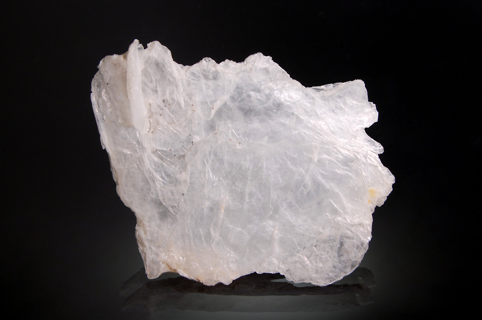 Brucite
5.5 x 7.2 cm
(Autor: Michael Shaw)