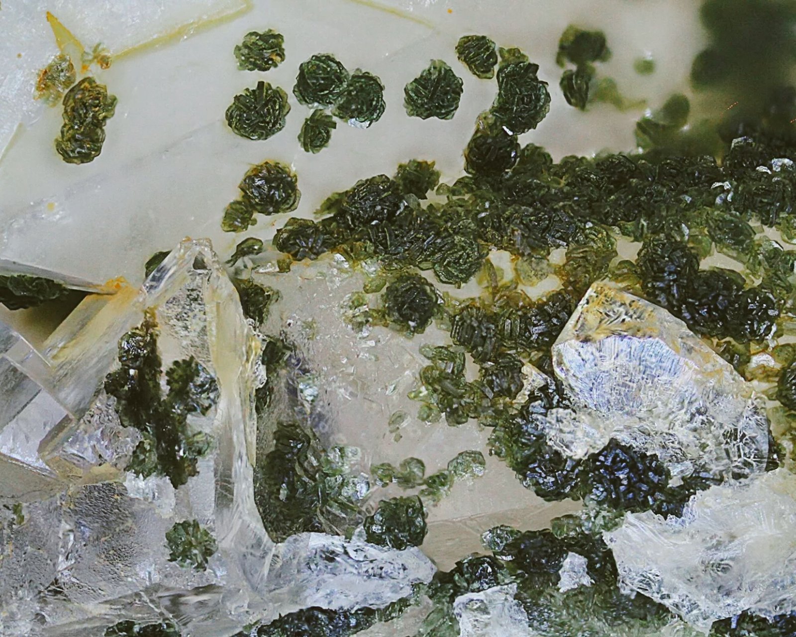 Chlorite Group/Quartz
28x21x15mm
(Autor: david916)