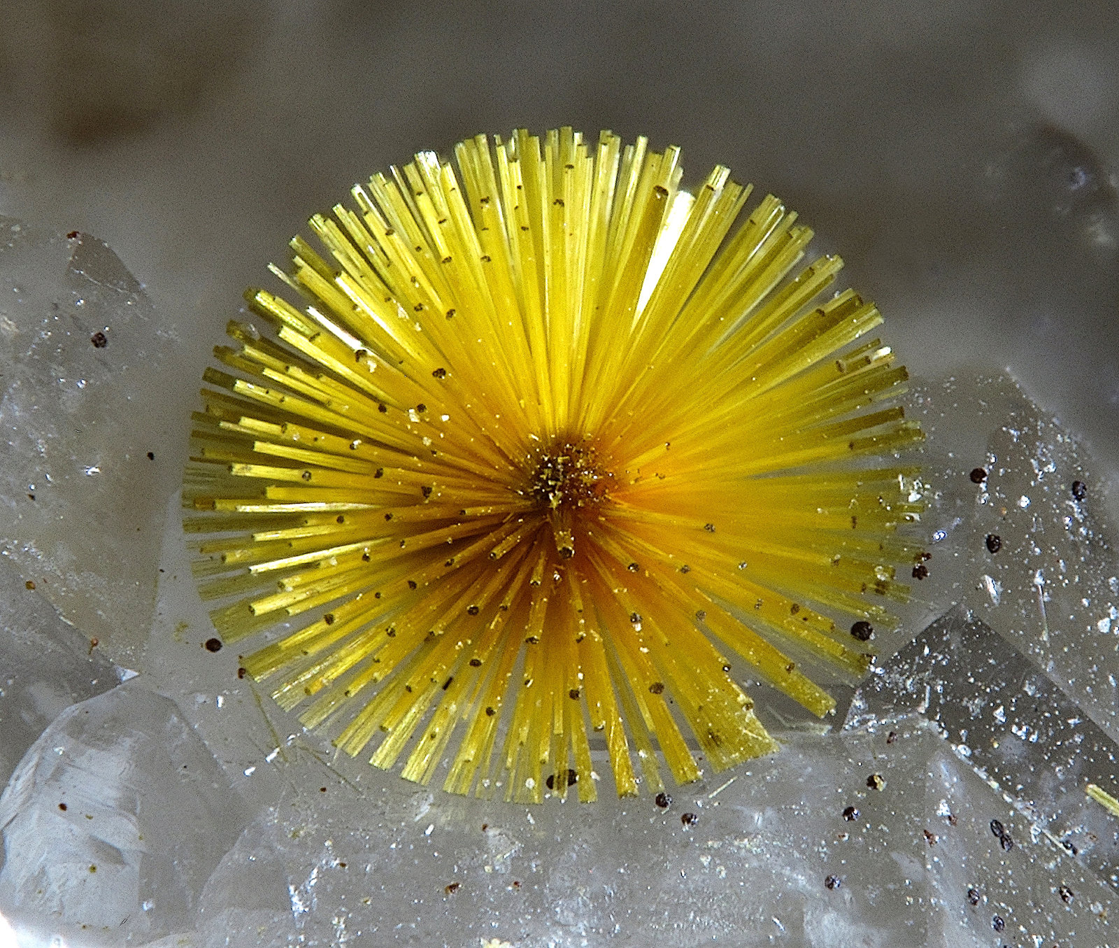 Cacoxenite
FOV 1.4 mm.
(Autor: FMF Forum)