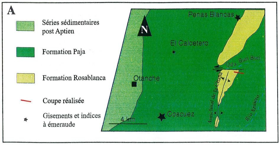 (Autor: Fiebre Verde)