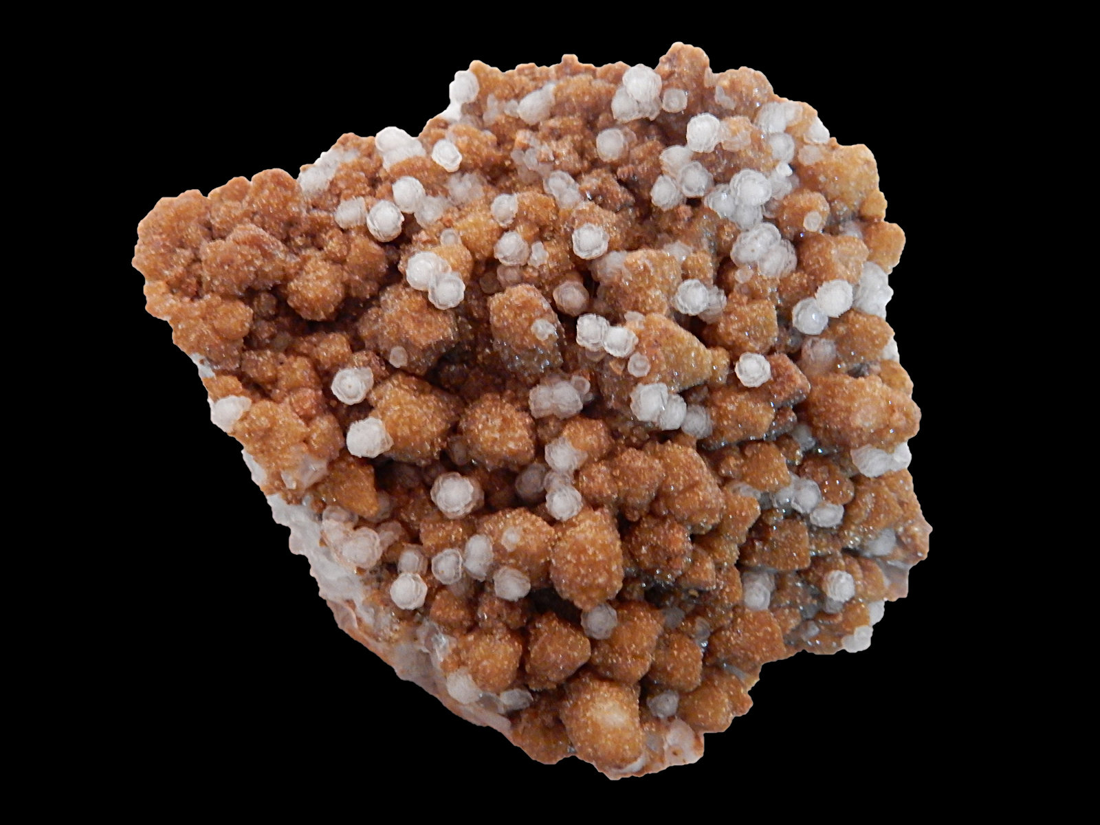 Calcite and Dolomite
56 mm x 50 mm x 27 mm
(Autor: Dany Mabillard)