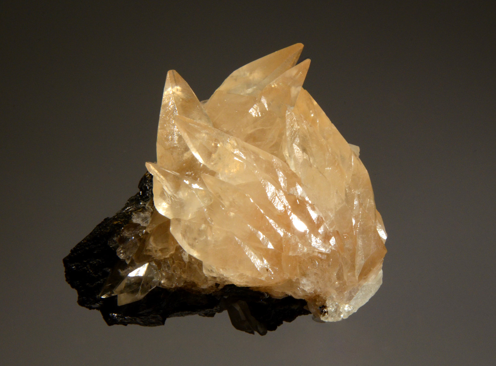Calcite
6.5 x 8.0 cm
(Autor: Michael Shaw)