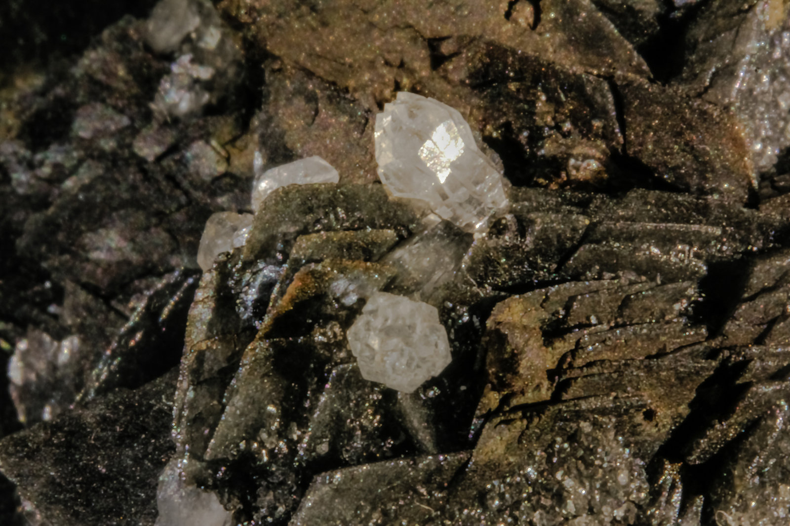 Calcite and Quartz
FOV 22 mm
(Autor: Adrian Pripoae)