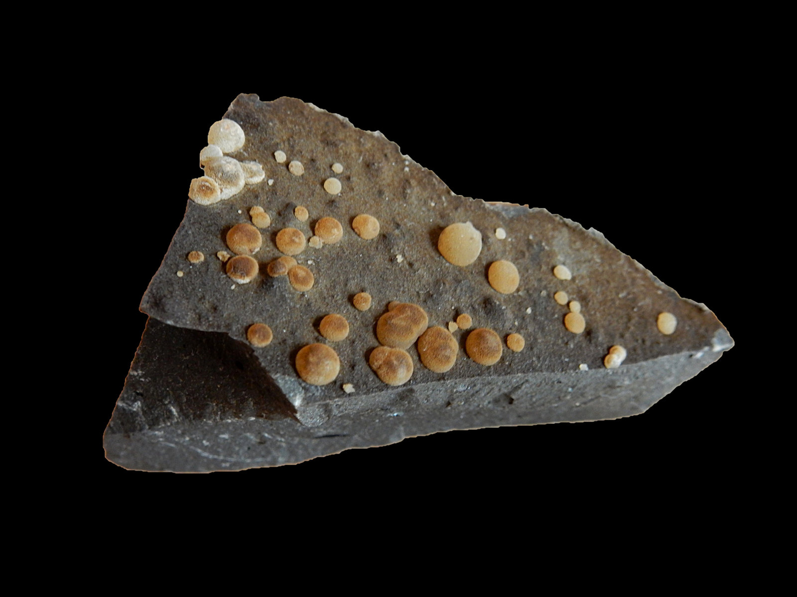 Calcite
70 mm x 30 mm x 40 mm
(Autor: Dany Mabillard)