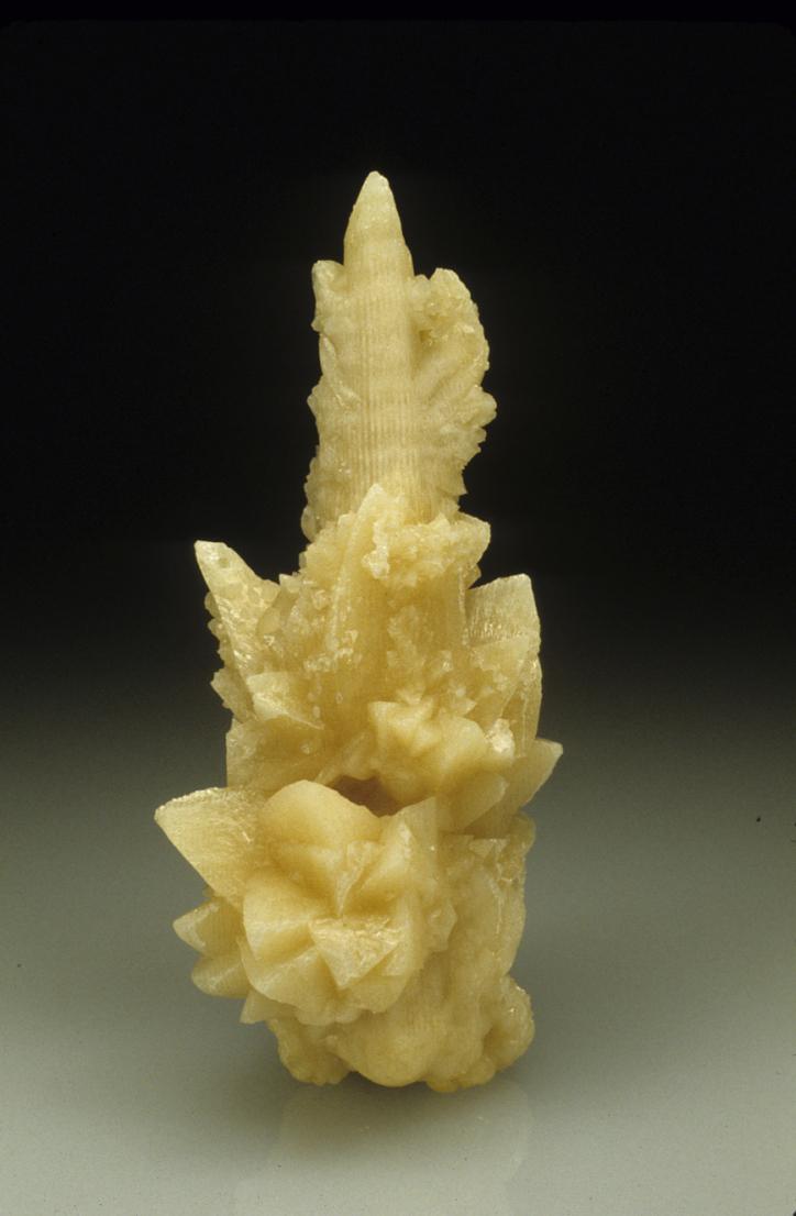 Calcite after coral
12.4 cm. high
(Autor: Jordi Fabre)