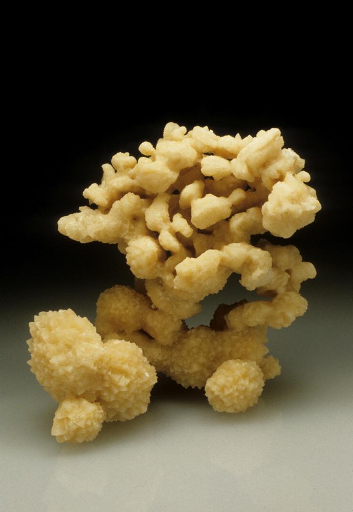 Calcite after coral
12 cm. high
(Autor: Jordi Fabre)