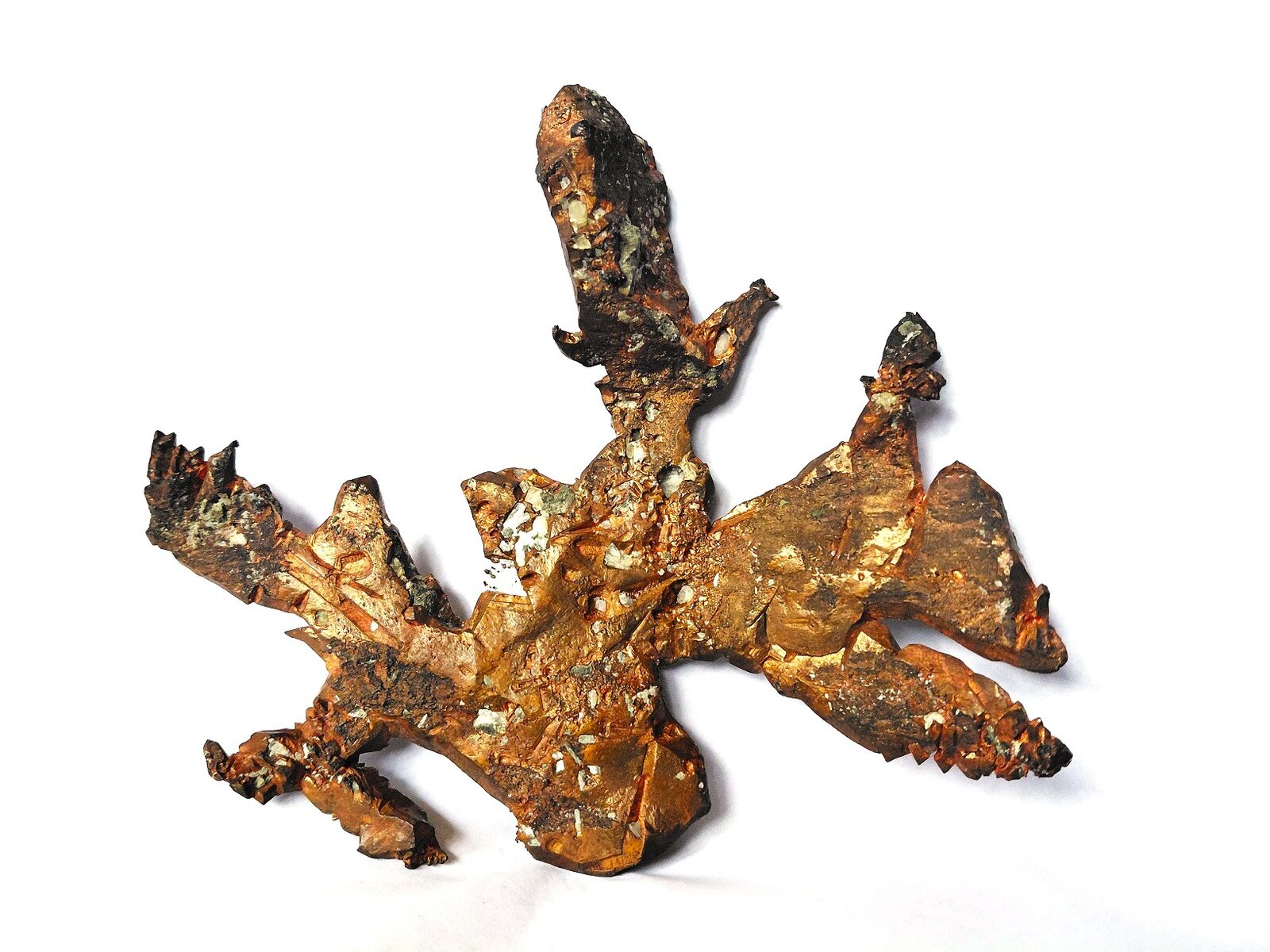 Copper
Mina Caledonia, Mass City, Condado Ontonagon, Michigan, USA
Specimen size 15 x 13 cm
(Autor: Tobi)