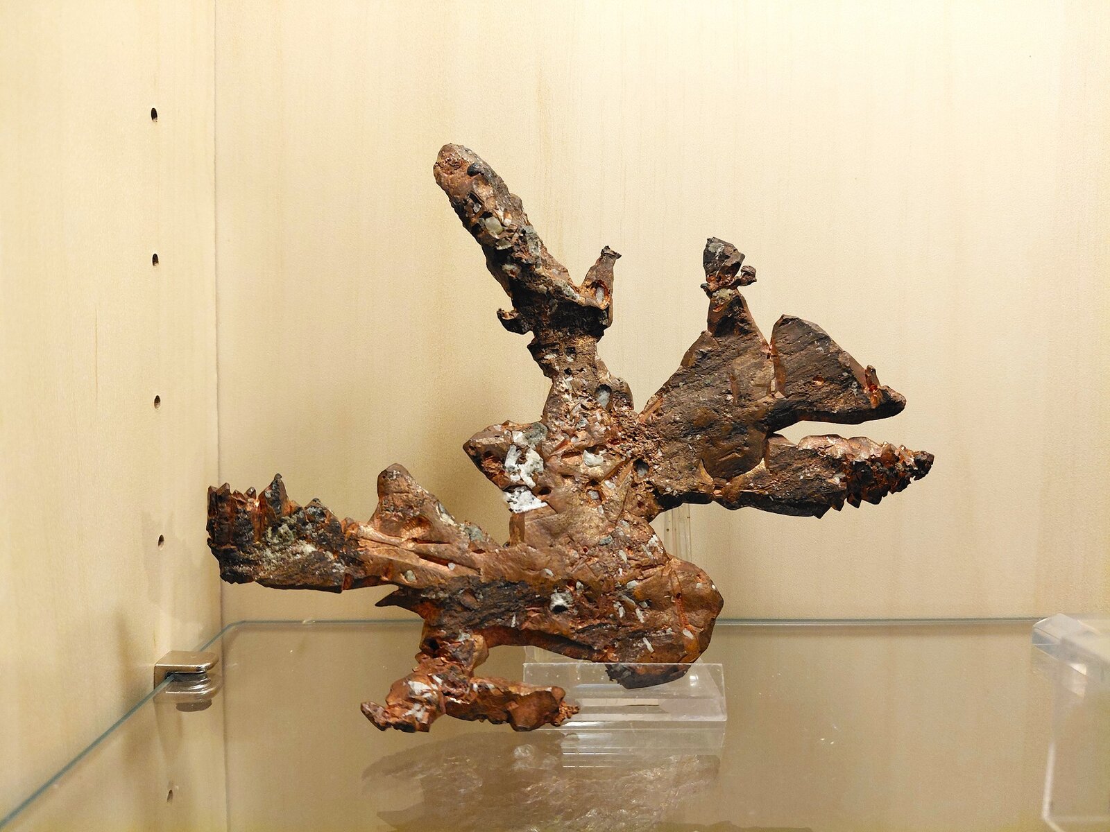 Copper
Mina Caledonia, Mass City, Condado Ontonagon, Michigan, USA
Specimen size 15 x 13 cm
(Autor: Tobi)