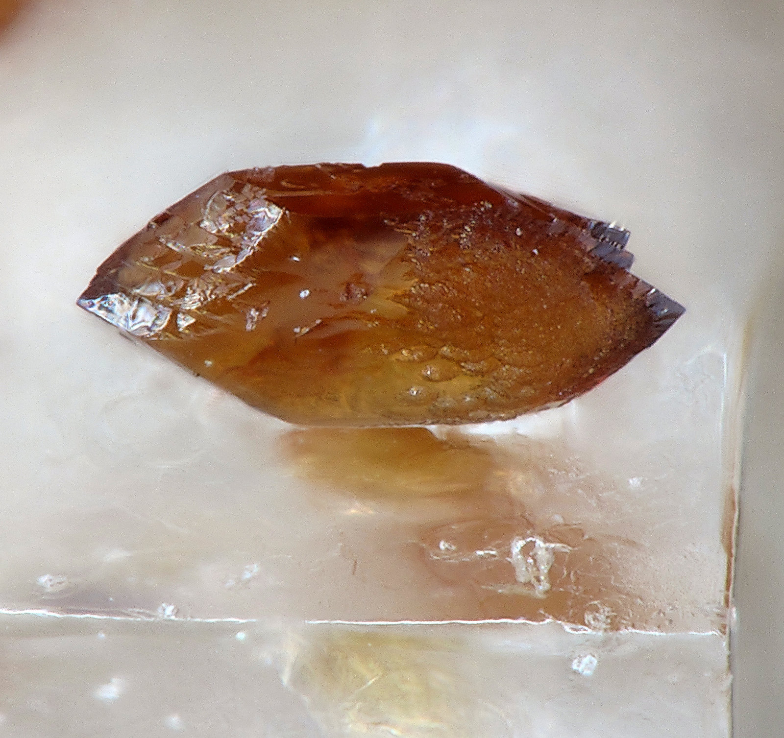 Canutite
fov 0,6 mm
(Autor: Jordi Fabre)