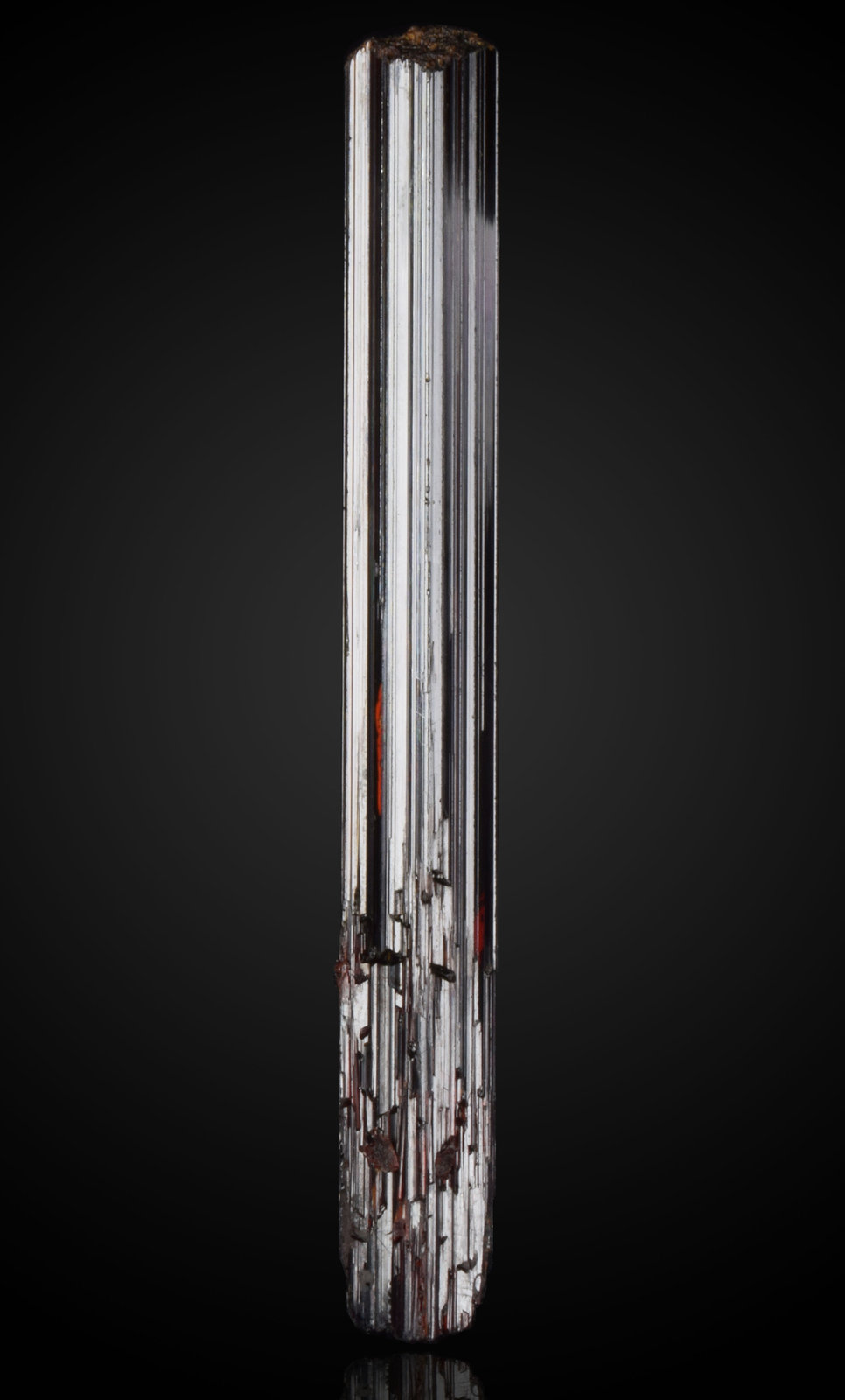 Rutile
5.5 cm
(Autor: dontgogreen)